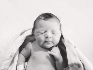 1003815_10101218373621594_252646360_n