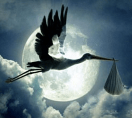 Screen Shot 2016-01-23 at 5.12.44 PM