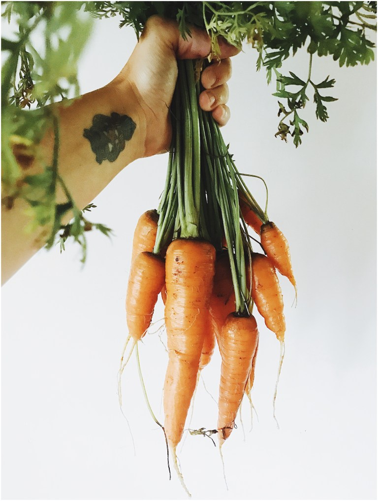 Processed with VSCO with a9 preset