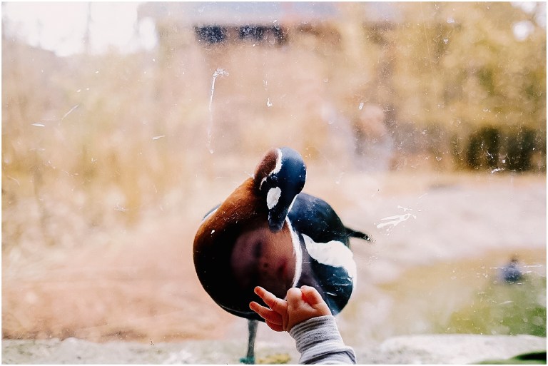 Processed with VSCO with 4 preset